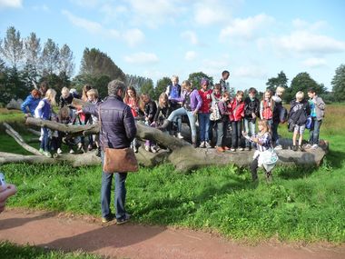 Wentholpark, locatie voor Cool Nature