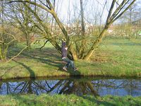 Les 1 groep 7 van de Julianaschool