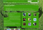 Hyves pagina Groenste Speelplek