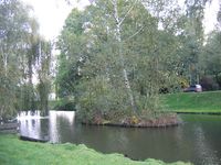 Situatie voor Cool Nature