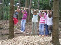 In de touwen