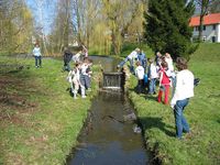 Les 1 groep 5 van de Julianaschool