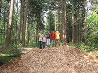 Kinderen op berg