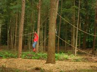 Jongetje in speelbos