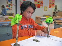 Les 2 groep 8 van de Boomhut